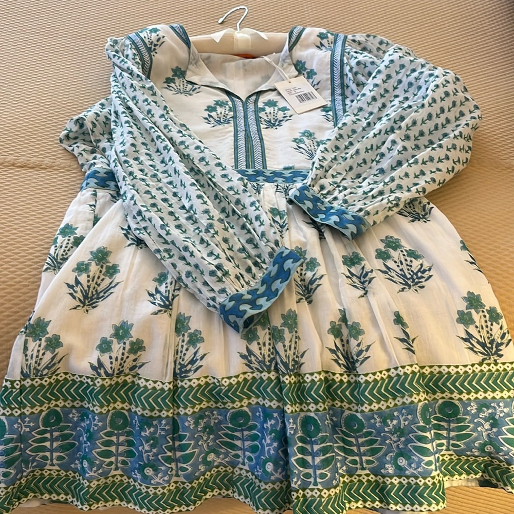 Oliphant cotton dress